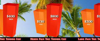These figures are general estimates, and the cost of trimming your palm tree could be influenced by many factors. Palm Tree Trimming Cost 2020 Average Prices Liberty Tree