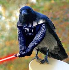 Birds With Human Arms Video 33 Hilarious Photos Of Birds With Hands Will Have You Laughing Out Loud Cutesypooh Funny Birds Photoshopped Animals Funny Animal Pictures