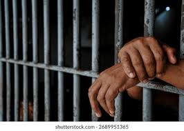 49+ Thousand Behind Bar Royalty-Free Images, Stock Photos & Pictures |  Shutterstock