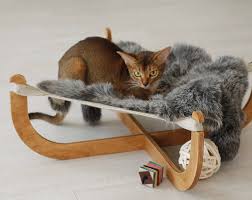 But, also provide a practical place for your feline friend to release their pent up energy and climb and explore. Contemporary Cat Beds Everything But The Cat