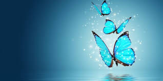 Wallpaper For Pc Full Screen Free Download Butterfly Wallpaper Butterfly Wallpaper Backgrounds Blue Butterfly Wallpaper Join now to share and explore tons of collections of awesome wallpapers. wallpaper for pc full screen free