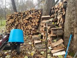 Here are the top 3 ways to get free firewood: Firewood For Sale 50 Vicksburg Mi General Items Kalamazoo Mi Shoppok