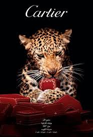 Keeping It Classy Animal Print Art Collage Wall Cartier