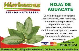 טוויטר Hierbamex בטוויטר La Hoja De Aguacate Se Puede Consumir En Te Para Resfriados Dolor De Estomago Artritis Depuracion Renal Es Desintoxicante Diuretico Antiinflamatorio Ayuda A Controlar Presion Alta Incluso Para