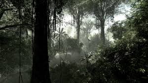We did not find results for: Rainforest Hd Wallpapers Backgrounds