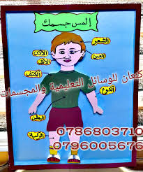 وسيلة تعليمية عن اعضاء الجسم pdf books comic books book cover