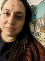 I have started to deck the halls! This is my tree for my kitten, Sadie! I  love the pillow covers!!❤️🎅🏼🎄