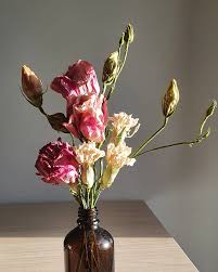 Does hanging upside down help the drying plant or change some properties within the plant? Hi Blooms My First Dried Flowers I Hung These Upside Down In My Wardrobe And They Were The First To Dry The Colours Are Absolutely Delicious I Love Learning New