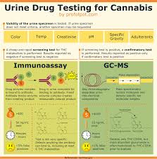 Guide To Urine Drug Testing For Marijuana With Infographic