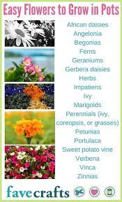 Marigold seeds are easy to handle, and grow quickly so you'll have a short wait for their colourful flowers. Recycled Flower Pots 29 Water Bottle Planters And More Diys Easiest Flowers To Grow Fall Container Gardens Container Gardening Fruit