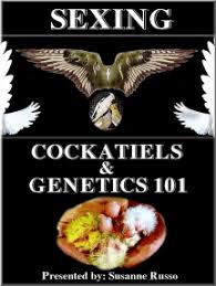 This pest repellent uses specific ultrasonic frequencies in which only insects, bugs. Your Dream Pet Cockatiel By Darla Birde Ebooks Scribd
