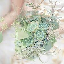 33,000+ vectors, stock photos & psd files. Succulent Bouquet Green Wedding Bouquet Wedding Mint Green Wedding Bouquets
