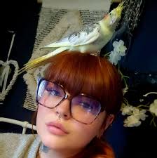 Traditional Gypsy Cobs