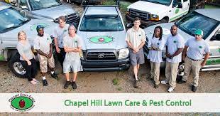 Effective single application pest control approach in cherry hills village. Natural Organic Lawn Care In Chapel Hill Nc Pleasant Green Grass