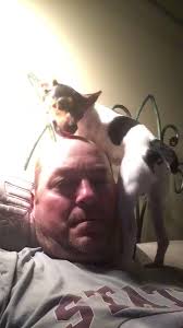 @MaggieStarns's video Tweet