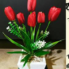 Bunga tulip jenis ini termasuk golongan yang kuat dan tahan lama. Bunga Tulip Merah Vas Kayu Putih Shopee Indonesia