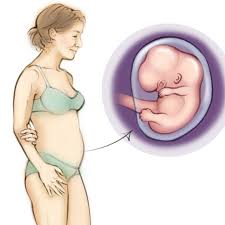 His eyes are fully formed but his eyelids will be fused shut until 27 weeks. Pregnancy Week 9 Nct