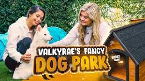 Beklagar :( valkyrie dog den 25 februari pga förstoppning. Valkyrae And Brooke Build An Amazing Mini Dog Park Youtube