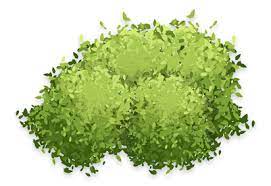 Leaves Png 412 282 Leaf Texture Painted Leaves Texture Painting