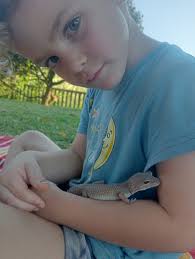 Rescuing feral leopards from poor conditions