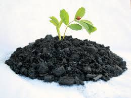 You can make biochar in the garden by doing a controlled burn in a trench right in your garden area. Add Charcoal To Create Rich Quality Garden Soil Cape Gazette
