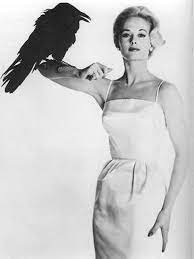 die vogel hitchcock alfred hitchcock filmstars filmproduzent
