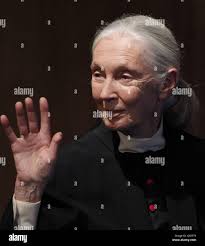 Jane st hi-res stock photography and images