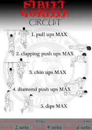 App per allenarsi a casa con esercizi da palestra e yoga. Scheda Allenamento Calisthenics Street Gorilla Workout Blog