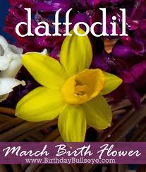 Birth Month Flower Grow Kit Instructions March Birthstones And Flowers Lucky Charms And Good Health March Birth Stone Birth Month Flowers Birthday Flowers