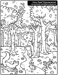Arctic fox hidden picture coloring page | woo! Pin On Coloring Pages For All Ages 2