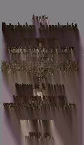 Image result for Swertia pleurogynoides