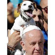 The World According to Rikki