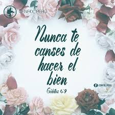 Galatas 6 9 10 No Nos Cansemos Pues De Hacer Bien Porque A Su Tiempo Segaremos Si No Desmayamos Pensamientos Biblicos Frases Cristianas Versiculos Biblicos