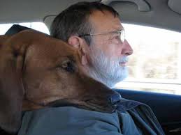 Hundefoto-Wettbewerb für Urlaub in Hunde-Hotel