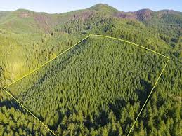 Undeveloped Land for Sale in Lane County, Oregon