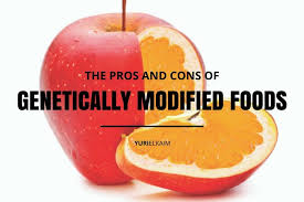 Genetically modified food is, from all accounts, considered to be of a high quality, more nutritious food. Genetically Modified Foods The Myth And Truth Of The Unending Debate Honourable