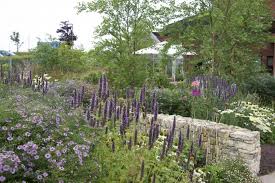 Cleve West Landscape Design Garden Designer Award Winning Horatio S Garden Progettazione Del Verde Progettazione Di Giardini Piante