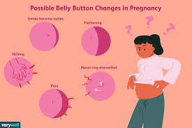 how pregnancy changes your belly button