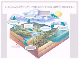 Water Cycle Carbon Cycle Diagram Quizlet
