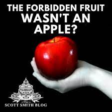 What does the bible say about tree of knowledge? Did You Know The Fruit Of The Tree Of Knowledge Was Not An Apple