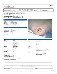 62 Interpretive Wound Chart Template