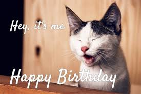 45 Funny Happy Birthday Memes That Will Render You Wishes Tailpic