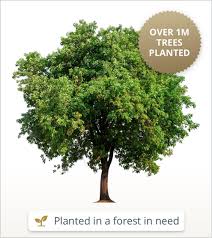 Image result for Judson Green 1952 Chrysler