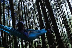 Sudahkah anda menentukan tempat wisata yang akan anda kunjungi? 10 Objek Wisata Terbaik Dekat Gumuk Pasir Parangkusumo Tripadvisor