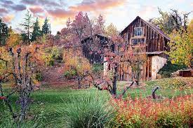 Boeger Winery Orchard Placerville El Dorado County Winery