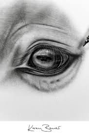 Realistic Horse Eye Drawing Pencil Drawing In 2020 Zeichnung Ideen Bleistift Augenzeichnungen Pferdezeichnungen