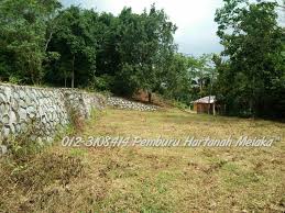 Tanah jenis pertanian jasin untuk dijual (below market value) rm800,000.00. Tanah Di Sg Petai Alor Gajah Untuk Dijual Pemburu Hartanah Melaka