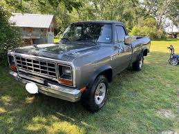 Image result for Silver 1984 Dodge Truck
