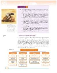 Europa e italia per la scuola secondaria di primo grado. 12 Biodiversidad En La Tierra Ayuda Para Tu Tarea De Geografia Sep Secundaria Primero Respuestas Y Explicaciones