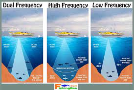 How Fish Finders Work All Fish Dead Fish Fish Finders